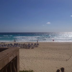 Meet your Posher, Samuel